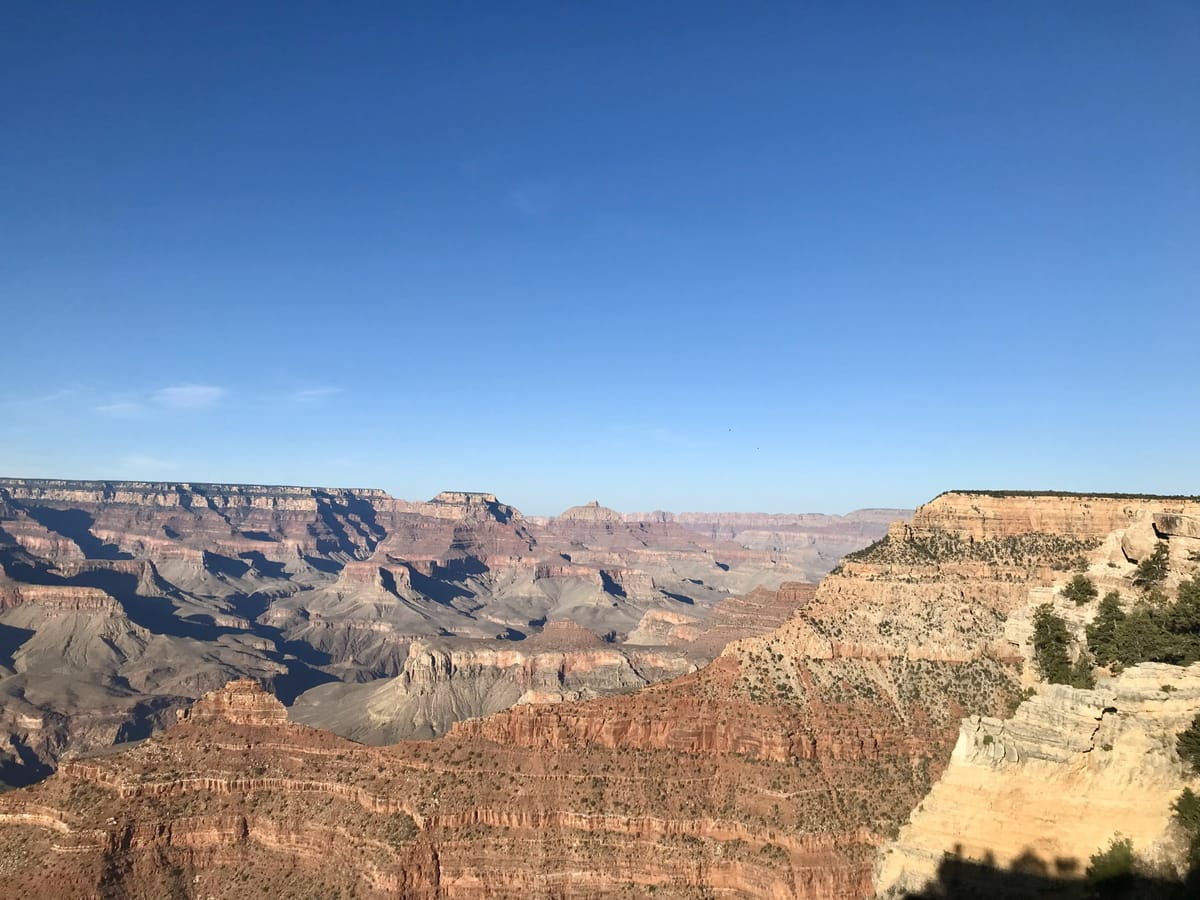 SOS! Help Save Our Signs Today