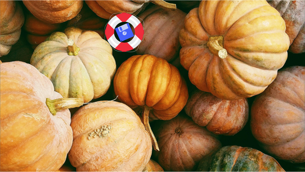 Update for November 2025